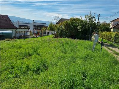 Teren 470 mp , constructie casa sau duplex, D. Rotund