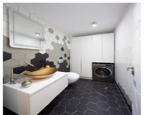 Apartament confort lux cu terasa si garaj in Europa