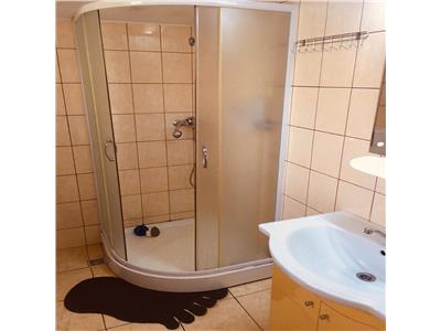 Inchiriere Apartament 1 camera in Hasdeu, Casa Vikingilor, UMF, USAMV