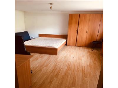 Inchiriere Apartament 1 camera in Hasdeu, Casa Vikingilor, UMF, USAMV